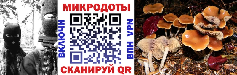Купить  Кукмор  Галлюциногенные грибы MAGIC MUSHROOMS 