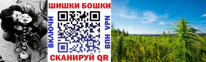 Бошки марихуана сатива  Купить закладки  Кукмор 